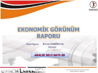 (Sayı 30) 2012 Aralık Ayı Aylık Ekonomik Görünüm Raporu