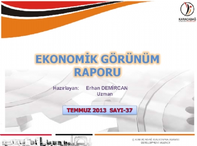 (Sayı 37) 2013 Temmuz Ayı Aylık Ekonomik Görünüm Raporu