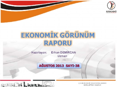 (Sayı 38) 2013 Ağustos Ayı Aylık Ekonomik Görünüm Raporu