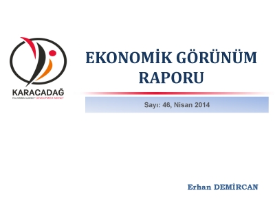 (Sayı 46) 2014 Nisan Ayı Aylık Ekonomik Görünüm Raporu
