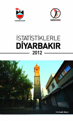 Statistics by Diyarbakır (2012)