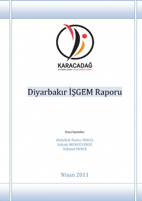 Diyarbakır LABOR REPORT