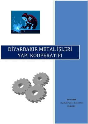 Diyarbakır Metal Works Building Cooperative Report
