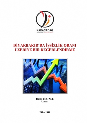 Diyarbakır Unemployment Report