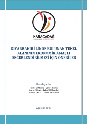 Suggestions for Economic Evaluation of TEKEL Area in Diyarbakır