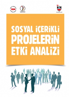 Diyarbakır'da Yürütülen Sosyal İçerikli Projelerin Etki Analizi Çalışması Projesi
