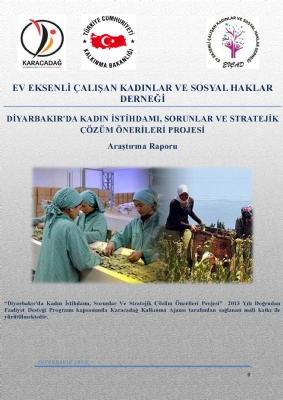 Diyarbakır'da Kadın İstihdamı Sorunlar ve Stratejik Çözüm Önerileri Projesi