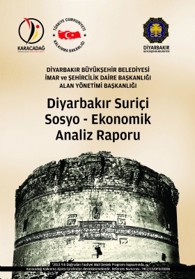 Diyarbakır Suriçi Sosyo-Ekonomik Analizi Projesi