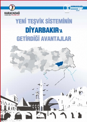 Advantages of the New Incentive System to Diyarbakir