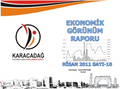 (Sayı 10) 2011 Nisan Aylık Ekonomik Görünüm Raporu
