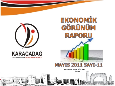 (Sayı 11) 2011 Mayıs Aylık Ekonomik Görünüm Raporu