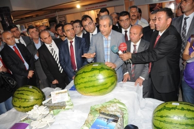 Intense İnterest For Diyarbakır İn Ankara.