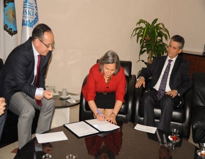 Diyarbakir İs Actualizing Solar Park Project