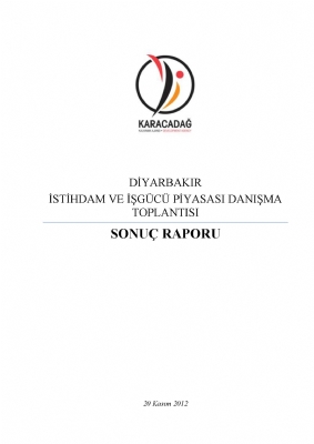 Diyarbakır İstihdam ve İşgücü Piyasası Danışma Toplantısı ( 2014 - 2023)