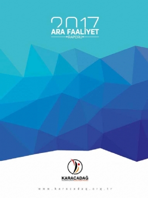 2017 Yılı Ara Faaliyet Raporu